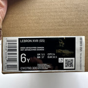 NIKE LEBRON KIDS' 6Y GS We Are Family Hyper Crimson CW2760-300 Green