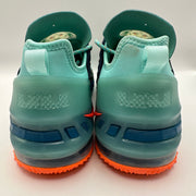 NIKE LEBRON KIDS' 6Y GS We Are Family Hyper Crimson CW2760-300 Green