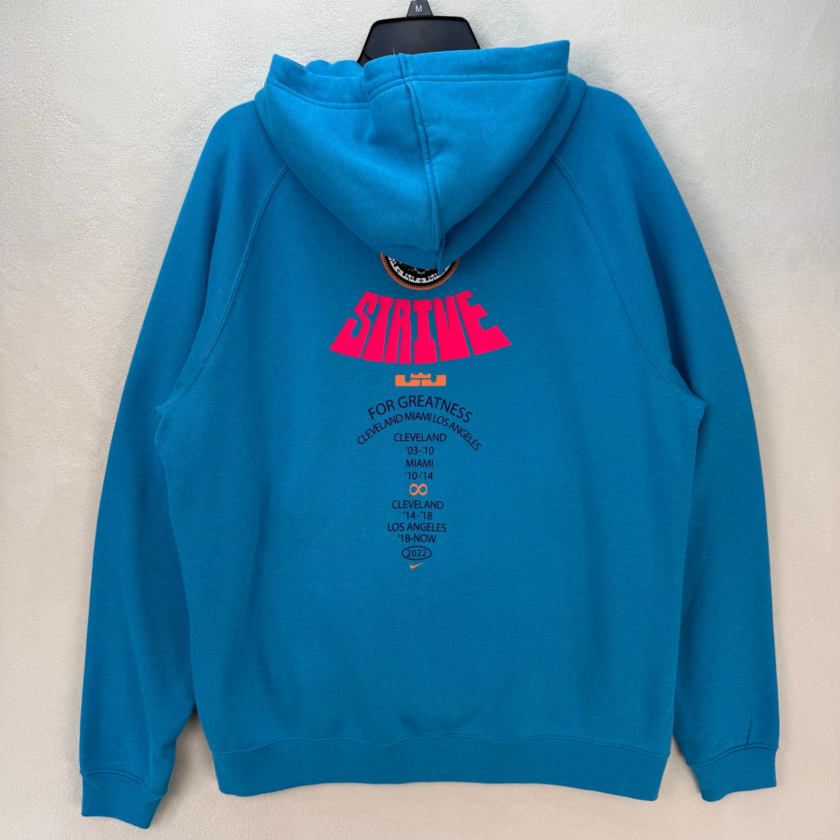 NIKE x LEBRON JAMES MEDIUM HOODIE 20 YEAR CAREER BASKETBALL LION BLUE DQ6129-446
