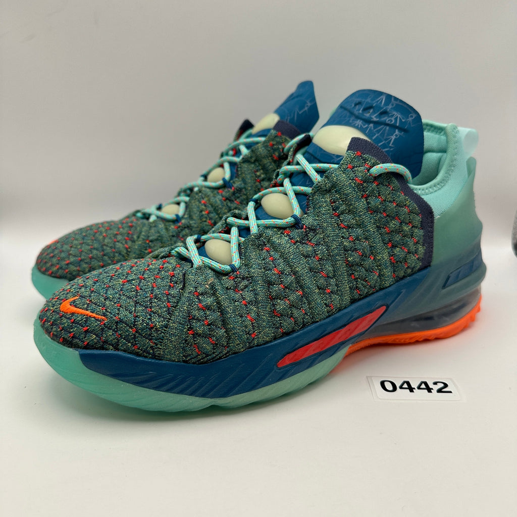 NIKE LEBRON KIDS' 6Y GS We Are Family Hyper Crimson CW2760-300 Green