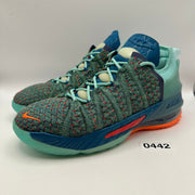 NIKE LEBRON KIDS' 6Y GS We Are Family Hyper Crimson CW2760-300 Green