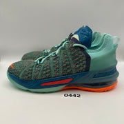 NIKE LEBRON KIDS' 6Y GS We Are Family Hyper Crimson CW2760-300 Green