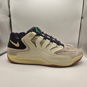 NIKE MEN'S 18 KD18 SANDDRIFT BASKETBALL SHOES LOW TOP PHANTOM NWOB IH2367-100